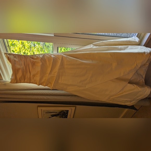 Paloma Blanca Raw Silk Wedding Gown - Picture 2 of 3